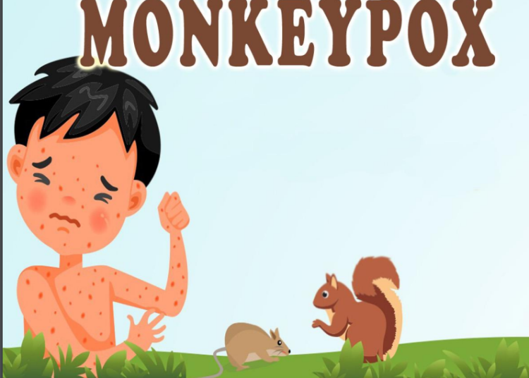 Kemenkes Terbitkan Surat Edaran untuk Mencegah Kasus Monkeypox Masuk di