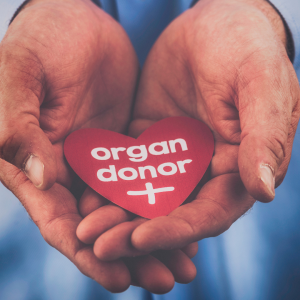 Ingin Donor Organ? Pahami Syarat dan Risikonya Sebelum Memutuskan